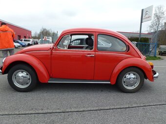 Volkswagen Brouk - 5
