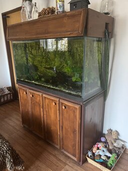 Rustikal akvarium - 5