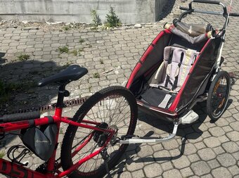 Thule chariot cx2 - 5