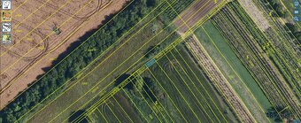 Prodej pozemků 13.772 m² Dolní Bojanovice - 5