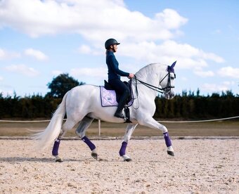Equestrian Stockholm Lavender DL - 5