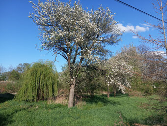 Prodej dvou rodinných domů s velkými stavebními pozemky - 5