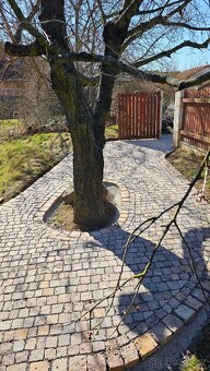 Pokladka zulove dlazby - 5