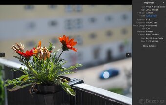 Olympus 45mm f/1.8 - 5