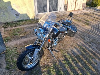 Suzuki VZ 800 Marauder - 5