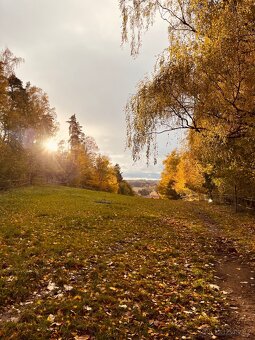 Pastevní ustájení 24/7 - 5