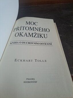 Moc přítomného okamžiku, Tolle - 5