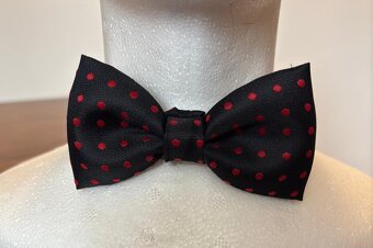 Dva stylové motýlky - 5