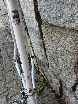 Pells Speedy vel.XL - 5