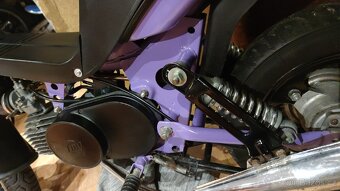 Babetta stella - 5