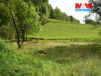 Prodej louky, 2749 m², Janův Důl - 5