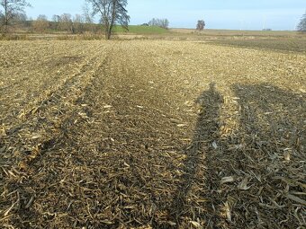 2,6m Italský mulčovač PALLADINO TSM260 - 5