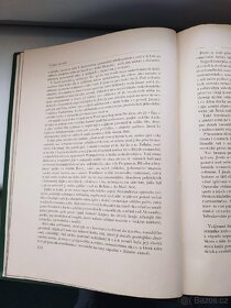 ŘÍMSKÉ IMPERIUM
- JEHO VZNIK A ROZKLAD - 5