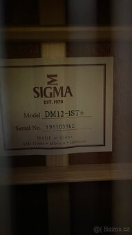 Akustická kytara Sigma DM12-1ST+ osobní předání - 5