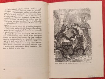 LIŠÁK FERINA T.E.Tisovský - 5