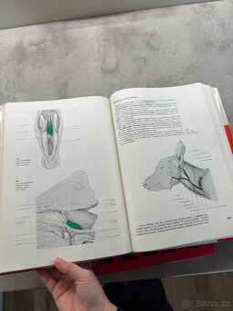 Veterinární anatomie Najbrt 1. a 2. díl - 5