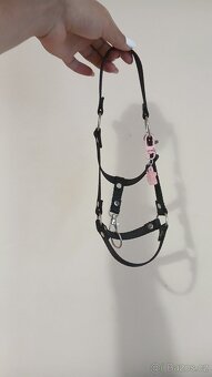 Hobby horse - 5