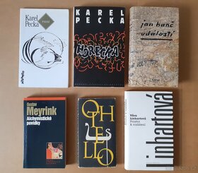 Houellebecq - Podvolení, Mann, Eco, Binet, Pecka - 5