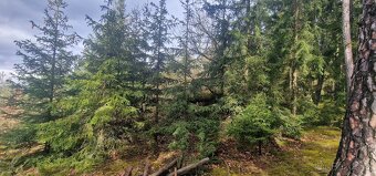 Řopík - Na prodej – lehké opevnění vzor 37, typ D - 5