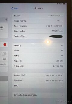 iPad 9. generace 256 GB - 5
