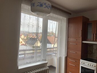 Pronájem - 5