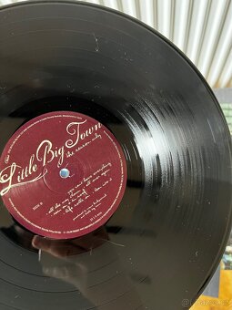 The Reason Why | org. label 1LP issue | NM - 5