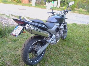 Honda CB 600 F Hornet - 5