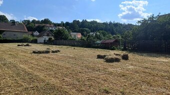 Seno luční - malé balíky - sklizeň 2025 - 5