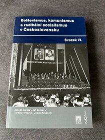 Bolševismus, komunismus a radikální socialismus svazek VI. - 5