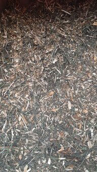 Trnková štěpka – 70 l pytle - 5