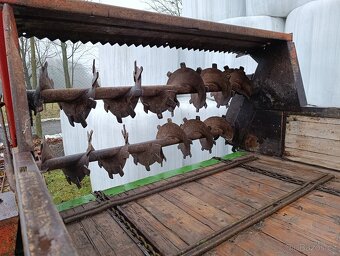 Rozmetadlo hnoje Krone - 5