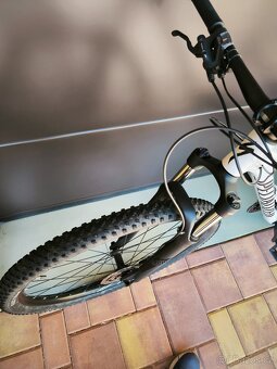 Specialized Rockhopper Comp 29 - 5