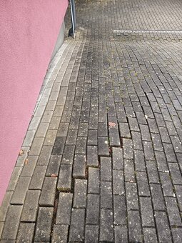 Hledám zaměstnání - 5