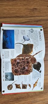 Dětská encyklopedie do kapsy - 5