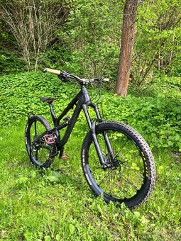 Canyon Torque CF7 - 5