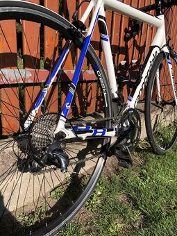 Cannondale CAAD 8, velikost 54 - 5