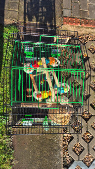 Klec JK Animals 35x52x65cm - 5