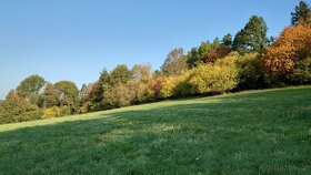 Prodáme stavební pozemek u Zruče n.Sázavou - 5