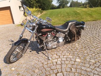 Harley Davidson Softail - 5