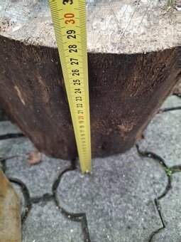 dubové špalky 5 kusů - 5