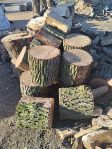 Palivové dřevo +rizikové kácení stromů - 5