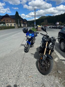 Hornet 600s - 5