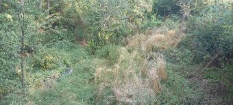 Prodej zahrady s chatkou, CP 1167 m², Sobotovice - 5