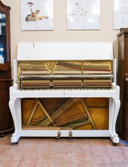 Petrof Chippendale  117 - 5