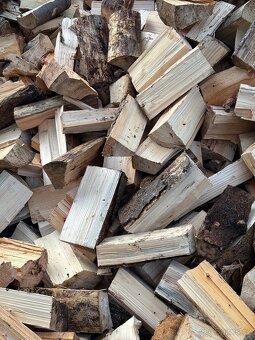 Palivové dřevo - 5