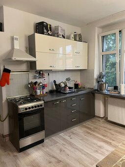 Prodám byt v Palachově ulici - 5