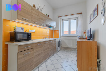 Prodej rodinného domu, 1425 m², Dolany - 5