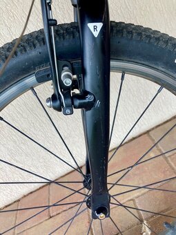 Rascal 20 - titanium - 5