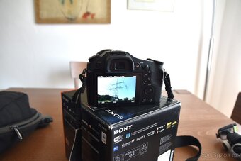SONY DSC-RX10 - 5