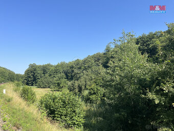 Prodej louky, 5874 m², Bakov nad Jizerou - Malý Rečkov - 5